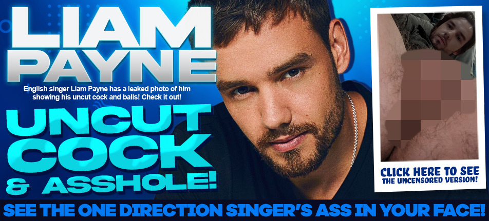 liam payne nude