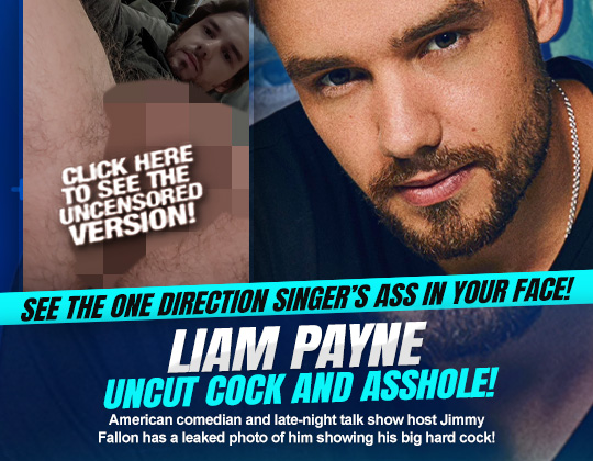 liam payne dick