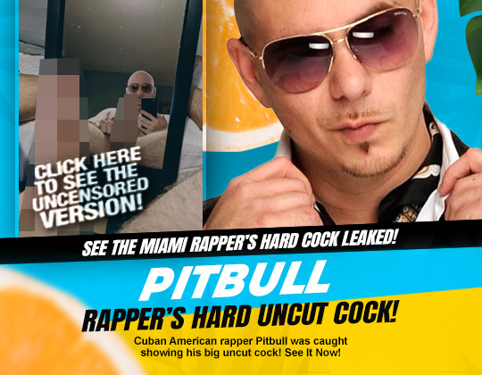 rapper pitbull dick