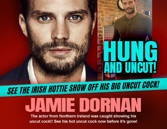 jamie dornan dick