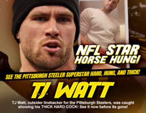 tj watt dick