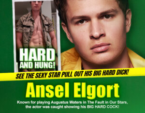 ansel elgort dick