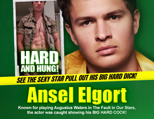 ansel elgort dick