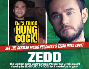 zedd dick